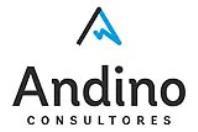 A Andino consultores