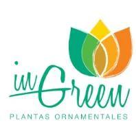 IN GREEN PLANTAS ORNAMENTALES