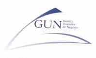 GUN GESTION UNIDADES DE NEGOCIO