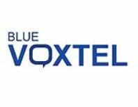 BLUE VOXTEL