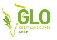 GLO GREAT LAND OLIVES CHILE