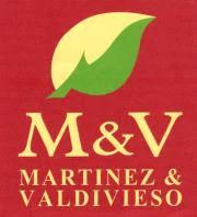 M & V MARTINEZ & VALDIVIESO