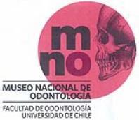MNO MUSEO NACIONAL DE ODONTOLOGIA, FACULTAD DE ODONTOLOGIA UNIVERSIDAD DE CHILE 