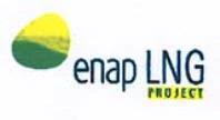 ENAP LNG PROJECT