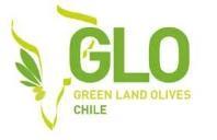 GLO GREEN LAND OLIVES CHILE
