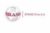 BRASS|Brass Chile S.A.