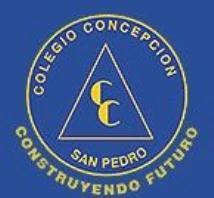 COLEGIO CONCEPCION CC SAN PEDRO CONSTRUYENDO FUTURO