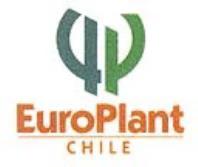 EURO PLANT CHILE