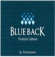 BLUE BACK PREMIUM SALMON BY VENTISQUEROS