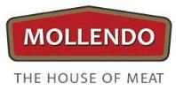 MOLLENDO THE HOUSE OF MEAT