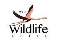 WLF WILDLIFE CHILE