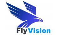 Flyvision