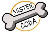 Mister Coda