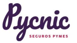 Pycnic Seguros Pymes