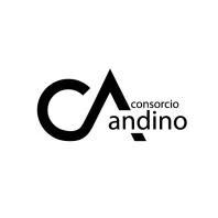CA CONSORCIO ANDINO