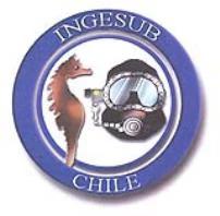 INGESUB CHILE