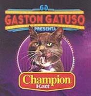 GASTON GATUSO CHAMPION KATT