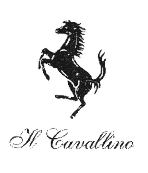 IL CAVALLINO