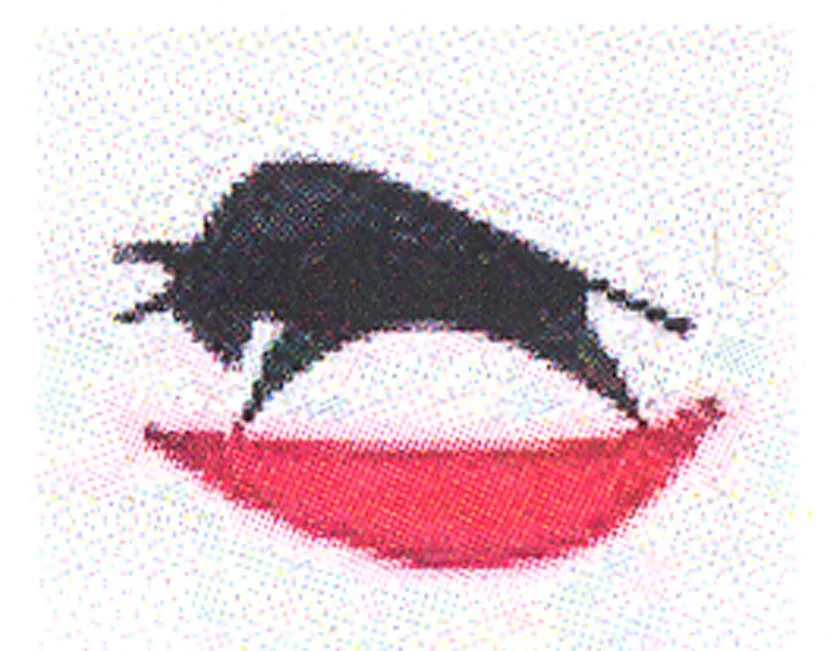Acta 989000