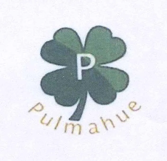 P PULMAHUE
