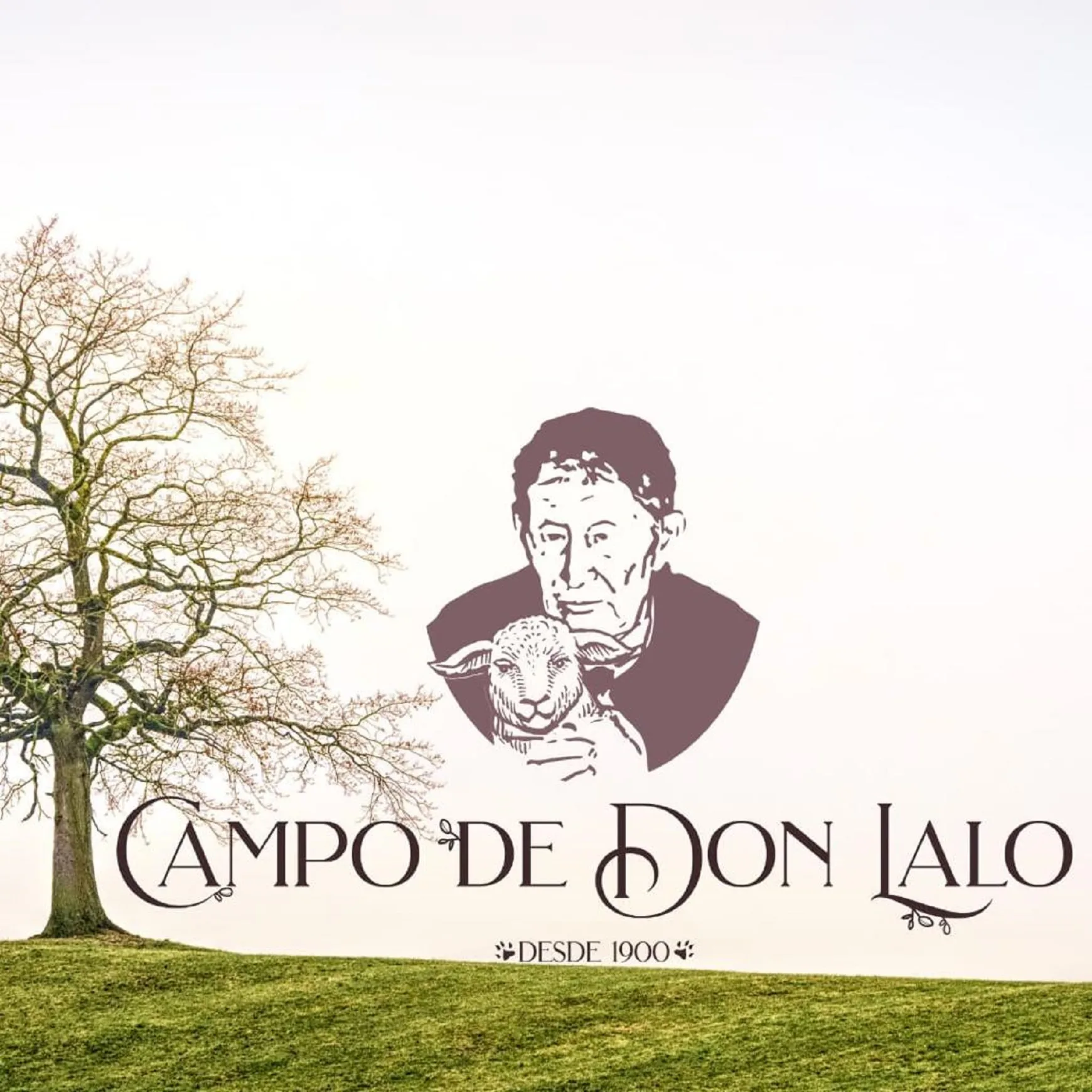 Campo de Don Lalo