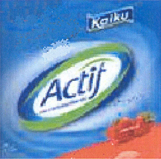 KAIKU ACTIF