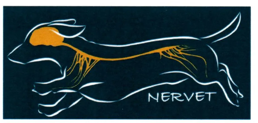 NERVET