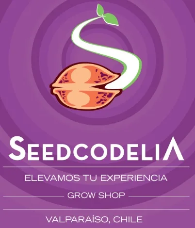 Seedcodelia