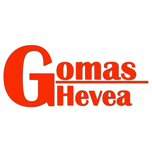 Gomas Hevea