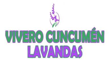 VIVERO CUNCUMÉN LAVANDAS