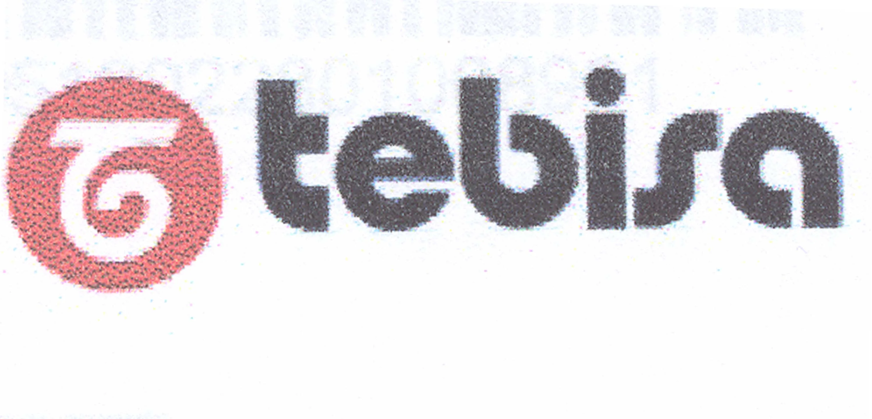 T TEBISA