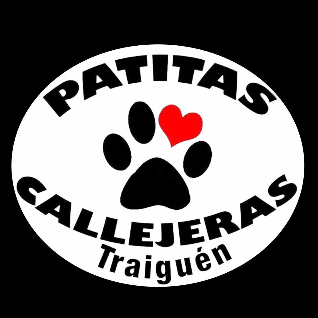 Patitas Callejeras Traiguén
