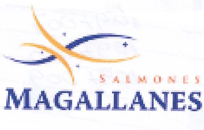 SALMONES MAGALLANES