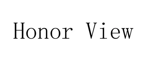 Honor View