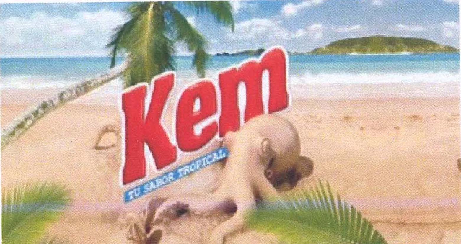 KEM TU SABOR TROPICAL