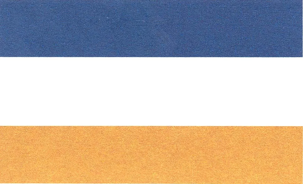 Acta 892009