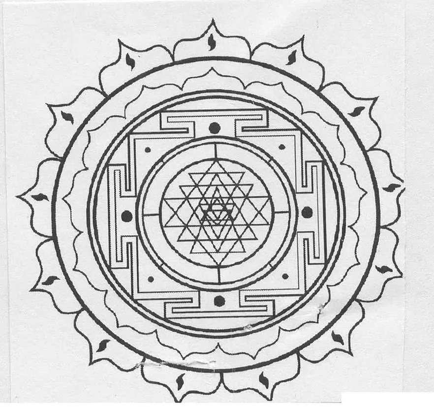 Acta 1031011