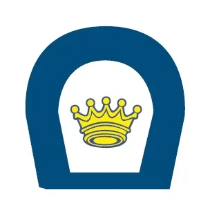 Acta 1335011