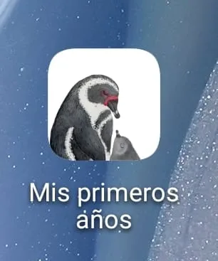 Mis primeros años