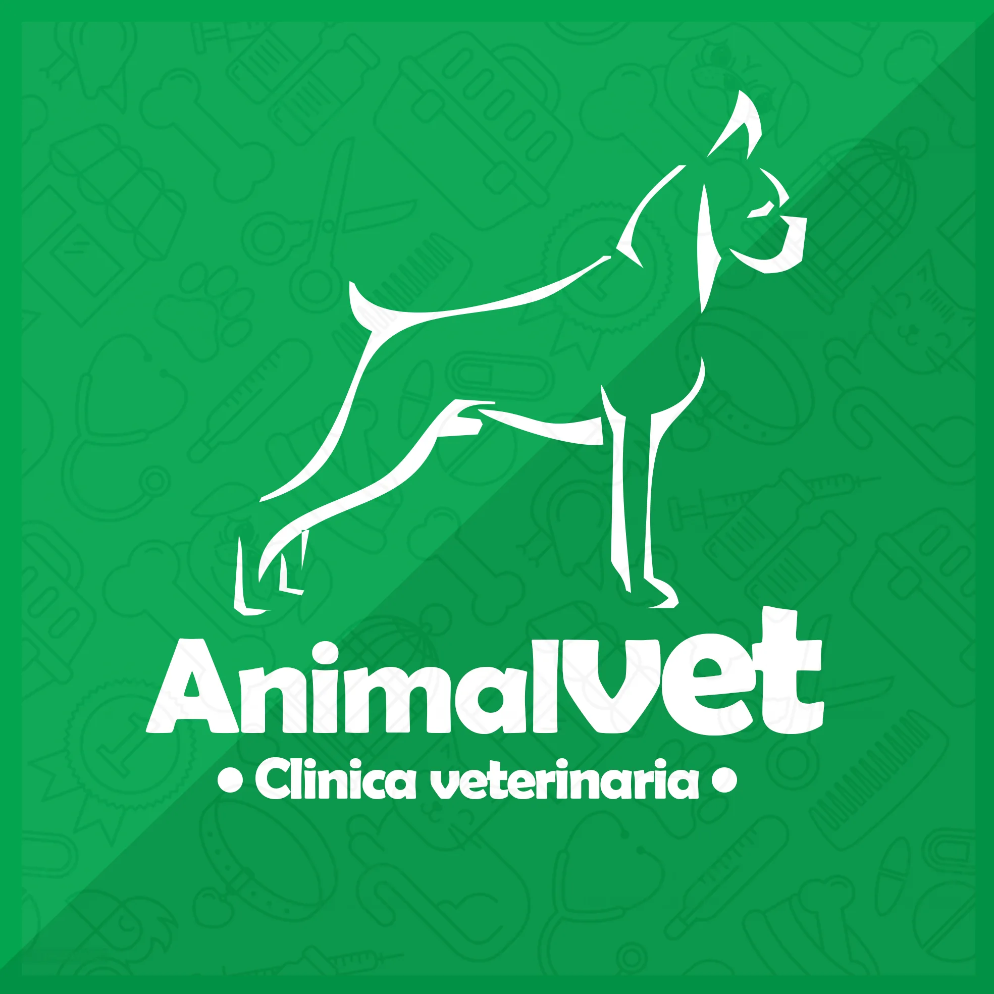 AnimalVet Clinica Veterinaria