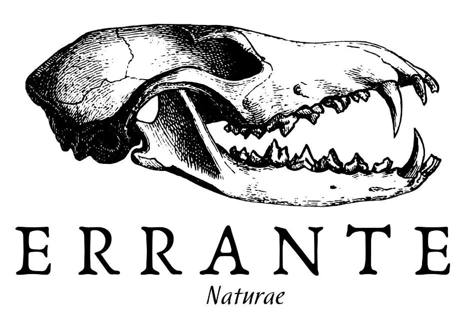 ERRANTE Naturae