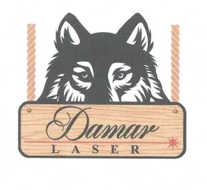 DAMAR LASER