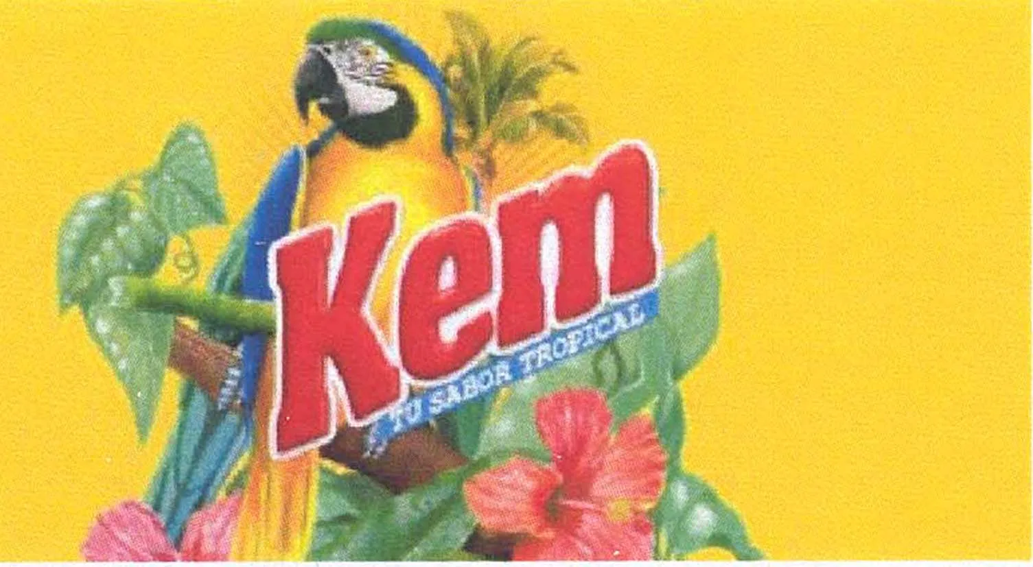 KEM TU SABOR TROPICAL