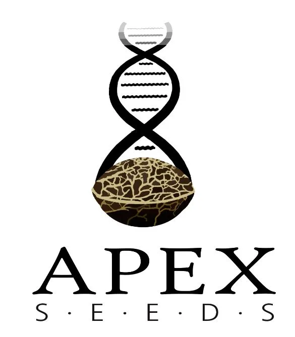 APEX SEEDS