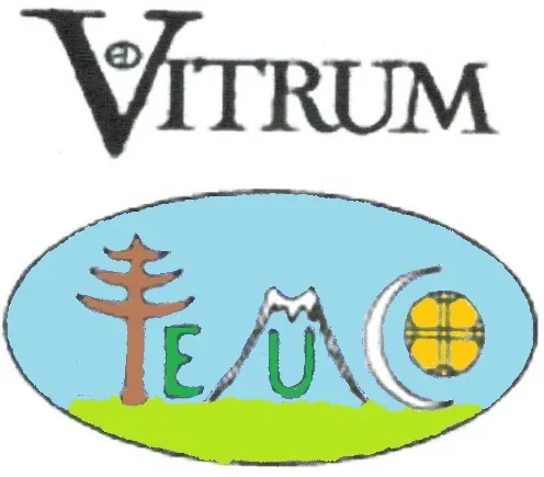 VITRUM TEMUCO