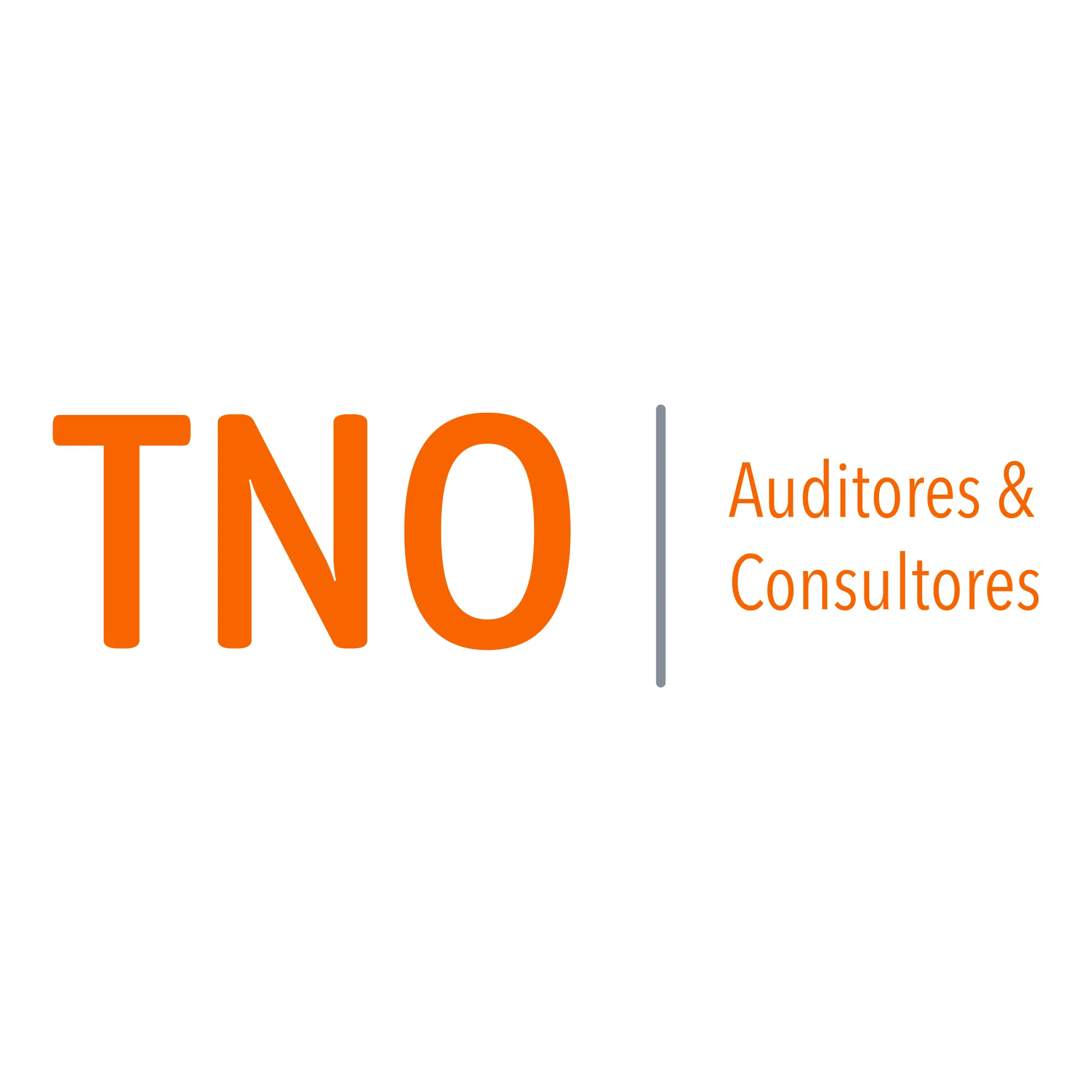 TNO AUDITORES & CONSULTORES