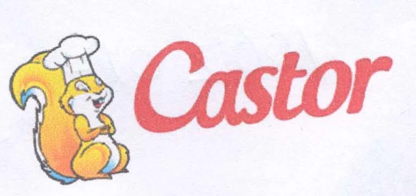 CASTOR