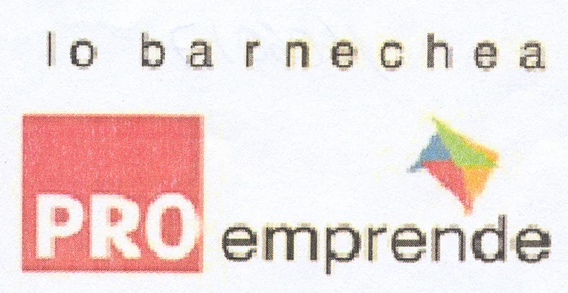 LO BARNECHEA PROEMPRENDE