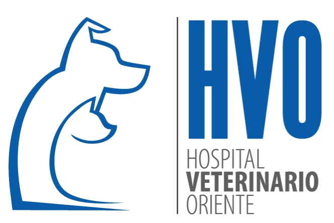 HVO HOSPITAL VETERINARIO ORIENTE