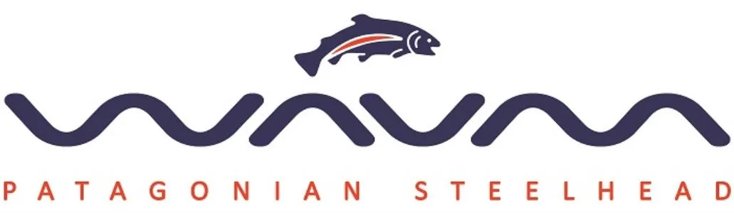 WAUM PATAGONIAN STEELHEAD